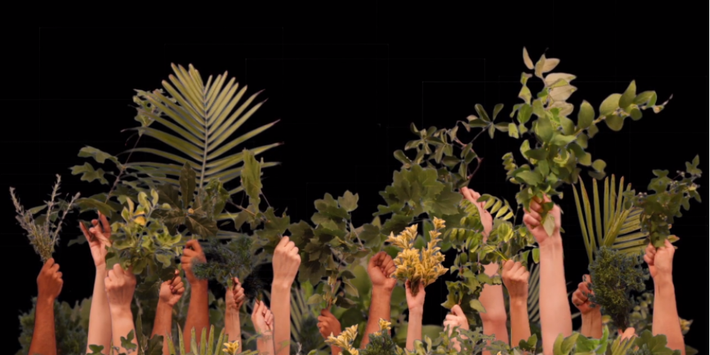 <i>Vivarium</i> proyectado sobre la fachada de la Organización de Estados Americanos por el Museo de Arte de las Americas