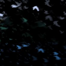 “Flight of Memory” screened in Ireland