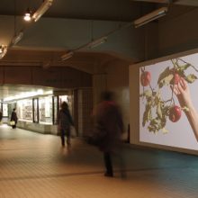 Toride International Video Projection, Japan