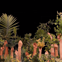 <i>Vivarium</i> projected onto the Organization of American States by the Art Museum of the Americas