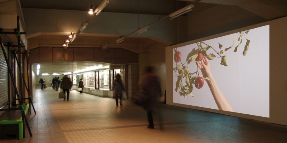Toride International Video Projection, Japan